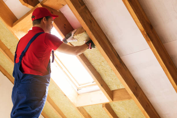 Best Basement Insulation  in Montebello, CA